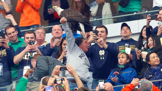 cotton-bowl-eagle-lands-notre-dame-fan.jpg